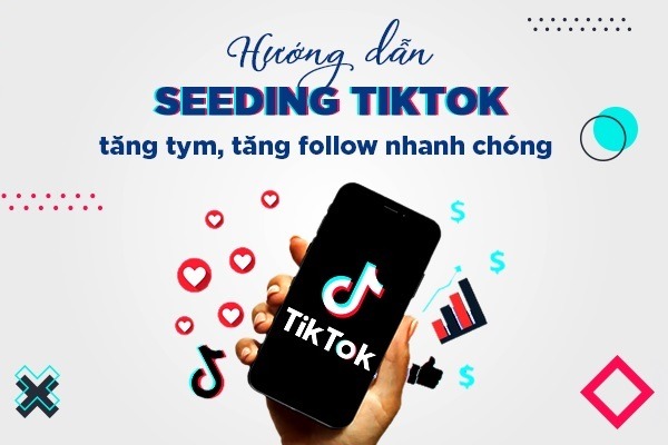 Hướng dẫn cách Seeding Tiktok hiệu quả